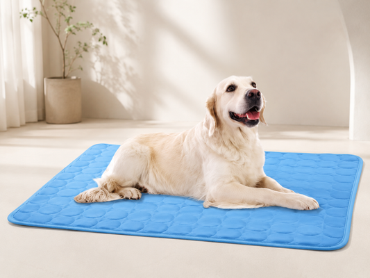 Vairo Vale Ice-Silk Cooling Mat